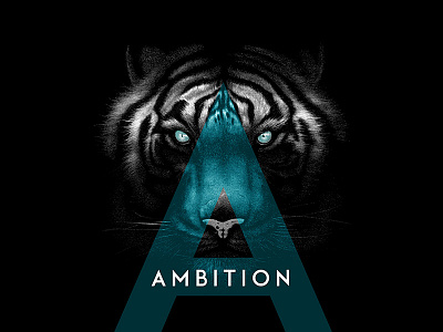 Tiger Ambition