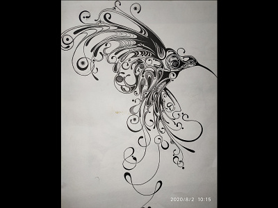 Humming Bird Doodle drawing