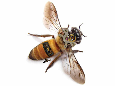 Steampunk Bee