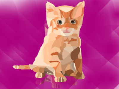 The Orange Tabby blockshade cat