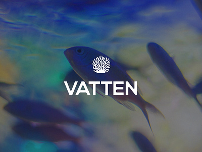 Vatten | Logo aquatic brand identity brandidentity branding coral customtype fish graphicdesign logo design logodesigner logotype oceans sea sealife typogaphy visual branding water