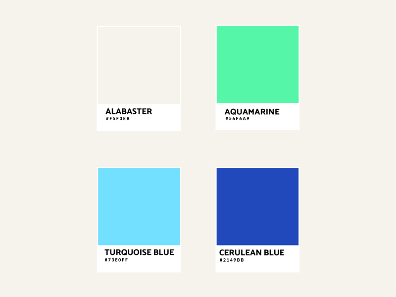 Pro Smiles | Color Palette by Allan Ayala on Dribbble