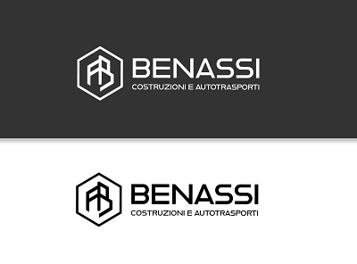Fabio Benassi Constructions - Logo Design brand construction design illustrator logo logo concept logo creation logo design