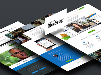 Bluesnap Homepage1 colors design detail view ecommerce flat concept flat ui sanfrancisco sanjose uiux visual design web