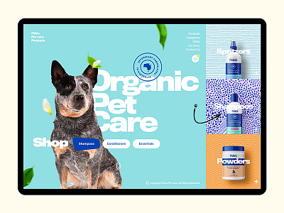 Fidos Pet Care bold colors fidos modern modular organic organic shapes pet care grooming pets ui visual design web design web design ecommerce