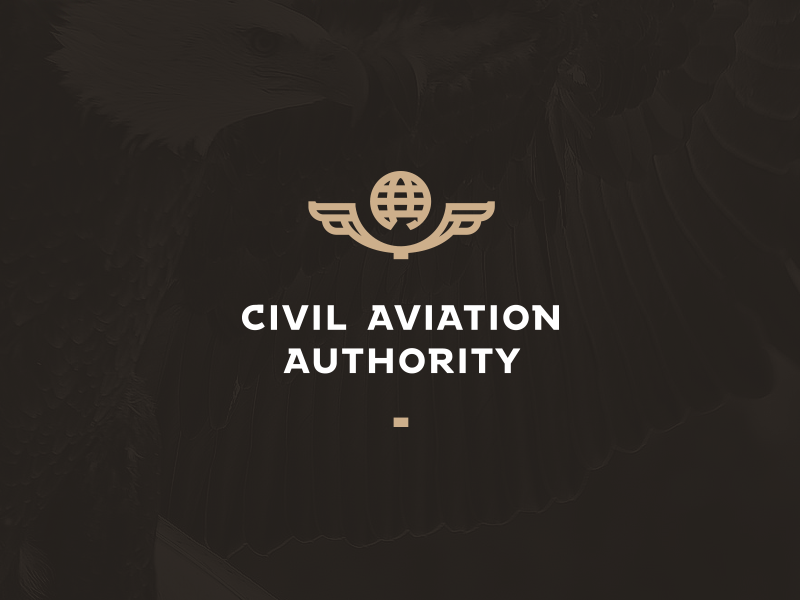 Civil Aviation Authority By Milosz Klimek On Dribbble   54f236207405eaaa94074db14c80c2d5 