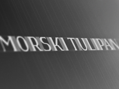 Morski Tulipan branding custom fight guidelines hand hotel kerning logo logotype made morski process sea shot with my girlfriends camera tulip tulipan type typography whatever