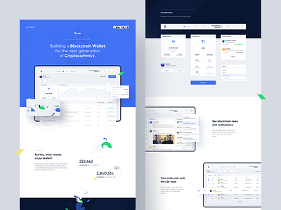 Lisk — Wallet / Behance Case Study blockchain crypto wallet cryptocurrency design interaction lisk product design ux