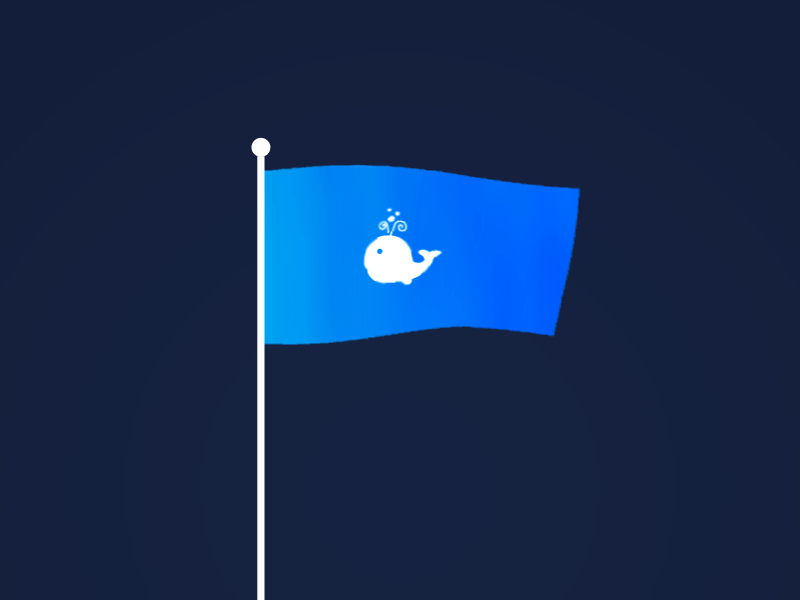 Whale flag branding design flag flat illustration gif illustration logo ui whale whale flag