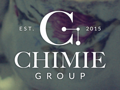 Chimie Group logo identity logo simple text logo