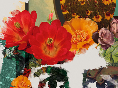 Paul McCartney beatles collage color contest flower paul mccartney