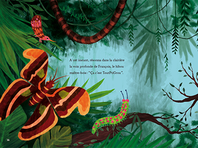 Album illustration green album book publishing plants jungle caterpillar butterflies bug insect exotic digital painting digital illustration brazil amazon nature illustration illustration colorful
