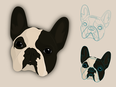 French Bulldog adobe illustrator artwork design dog dog illustration drawing french bulldog frenchie illustration outlines vector