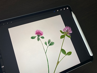 Simple flower applepencil digitalart digitalwatercolor flower ipadpro procreate