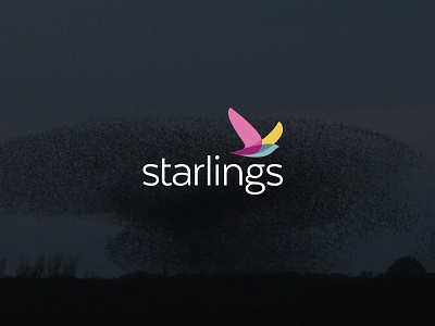 Starlings Logo Design By Logoholik V4 flight logo multicolor purple starling transparency