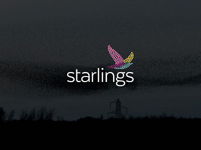 Starlings Logo Design By Logoholik V5 logo mosaic multicolor murmuration purple starling