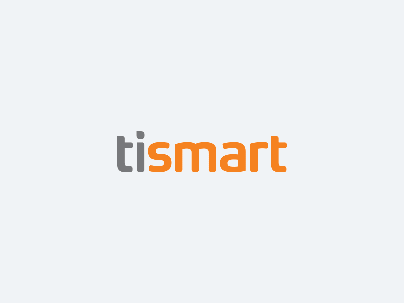 Tismart corporate visual hierarchy corporate identity geometric shapes typography