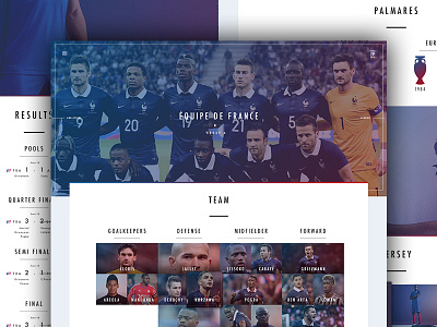 Team Page - Euro 2016 euro football france soccer web webdesign website