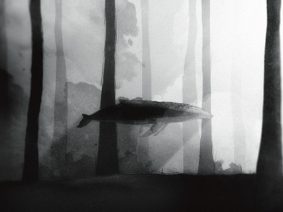 Whale black and white noise photoshop shadows swimming texture