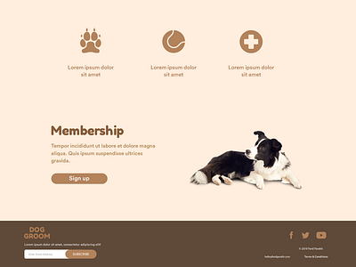 Dog Grooming design web