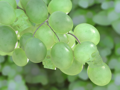 SKULL GRAPES