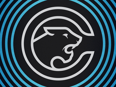 Panthers Logo Concept
