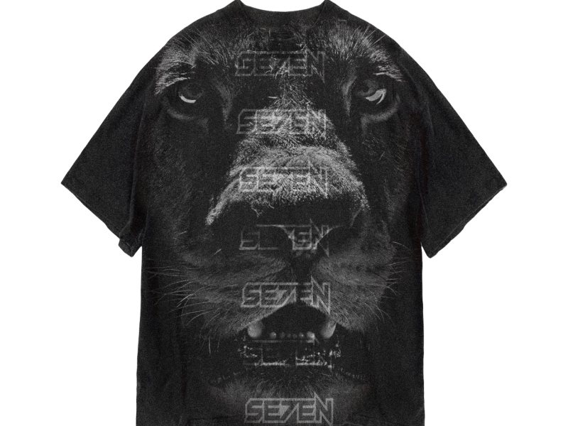 lion tshirt design by ilyes zehar on Dribbble