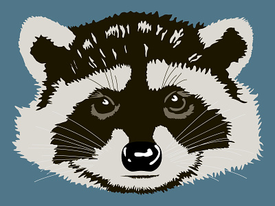 Raccoon Head - WIP animal illustration illustrator raccoon vector wildlife