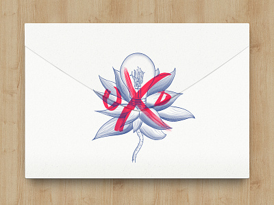 LightBulbLotus Mail handwriting illustration mail