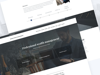 Wealth Management Website Template designs management responsive responsive web design template design templates wealth wealthy web web design webdesing website website builder website concept