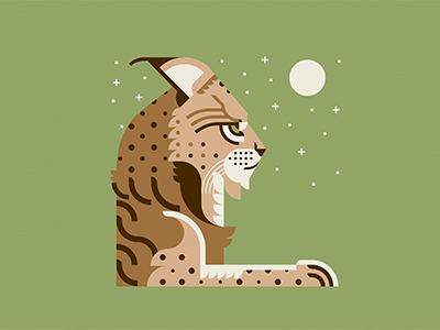 "L" is for Lynx design illustration lettering lince lynx nature wild