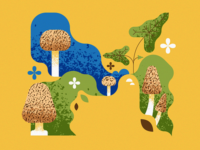 Morchella Esculenta art border design editorial flat flat illustration illustration nature retro texture type vector