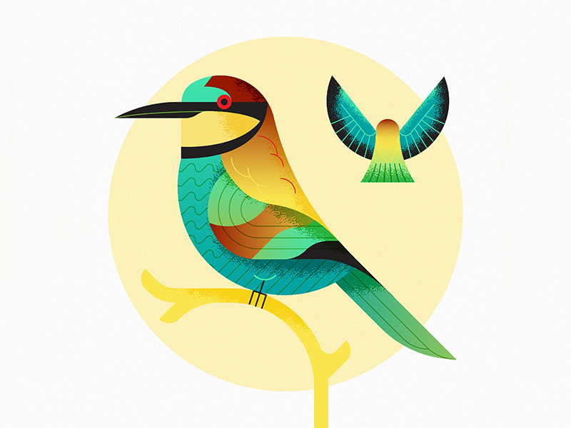 European Bee-Eater (Abejaruco Europeo) design flat illustration art nature texture retro flat vector illustration bird