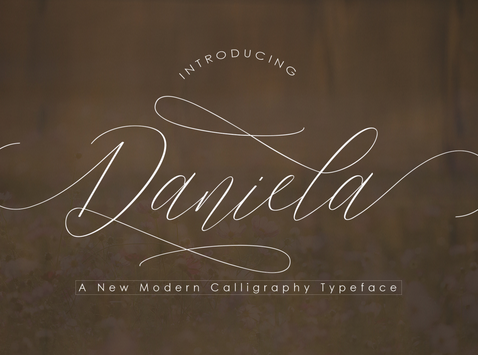 Daniela Font Script by Polem Studio on Dribbble