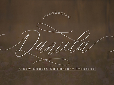 Daniela Font Script calligraphy font script fonts handlettering typeface typography