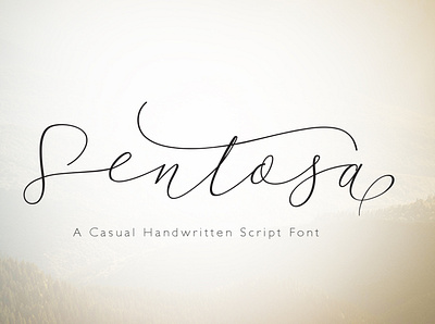 Sentosa calligraphy font design font script fonts typeface typogaphy