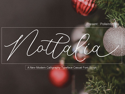 Nottalia Font Script