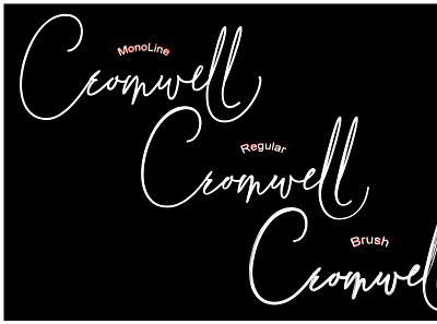 Cromwel Font calligraphy design font design font script fonts illustration letterhead logo signature typeface