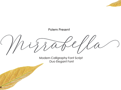 Mirrabella branding calligraphy design font design font script fonts illustration label letterhead logo news poster signature t shirt typeface typography