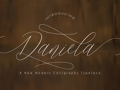 https://creativemarket.com/PollemSt/6823486-Daniela blogs business cards calligraphy design font design font script fonts letterhead product brands. signature signatures social media this is perfect for invitations typeface