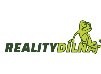 Realitydilna 1 branding design illustration logo