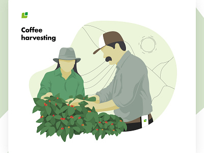 Meeting the Cropster Personas: Coffee farmers brand coffee design illustration personas vector