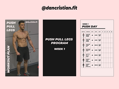 @dancristianfit PPL WR PLAN