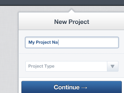 New Project button form input