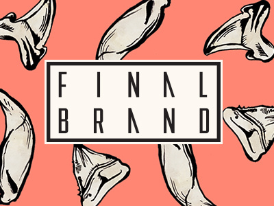 Final Brand clothing illustration journals logo textile