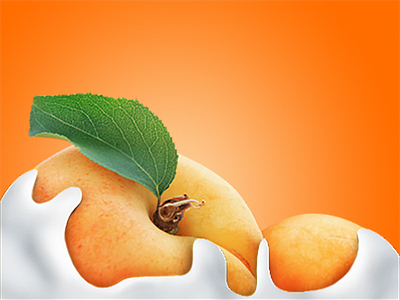 Apricot graphic design ilustration