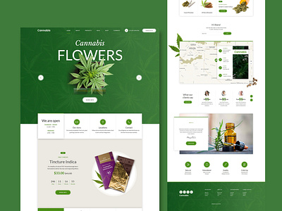 Cannabis branding design graphicdesign illustration logo minimal typography ui vector web design