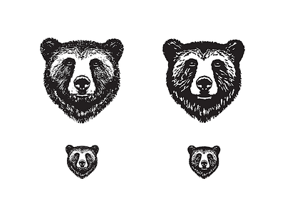 Oso WIP: Refinement bear branding etched illustration logo