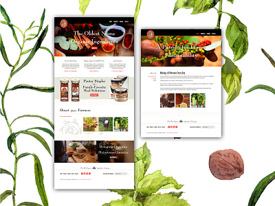 Aromatica Website Concepts design identity design ui ui design ux uxdesign web design