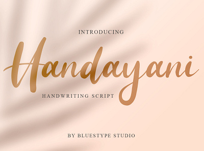 Handayani Typeface Font branding design font font design illustration new popular signature type typography